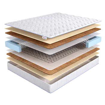 Base Medium Bonnel